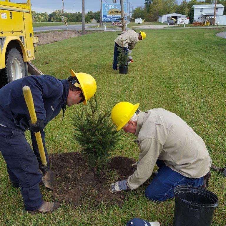 Linemen planting a tree.