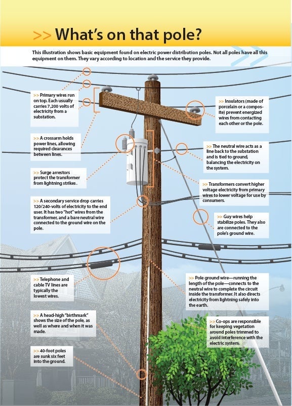 pole