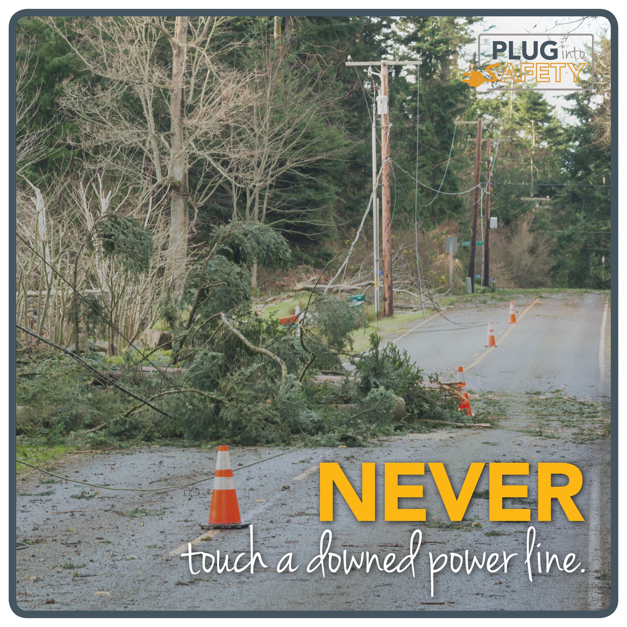 Never touch a downed power line.